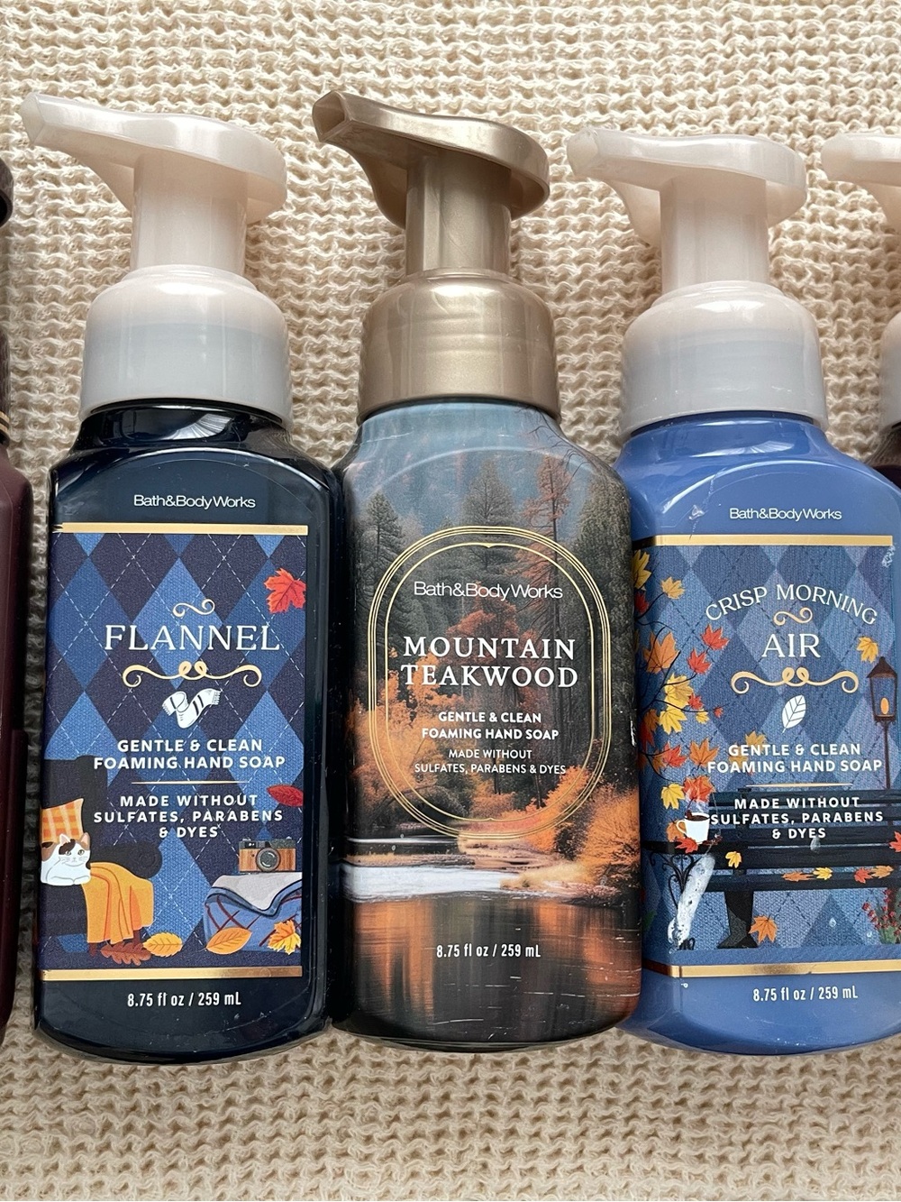 EMPTY DISPENSERS from Bath & Body Works Foaming Hand Soap.